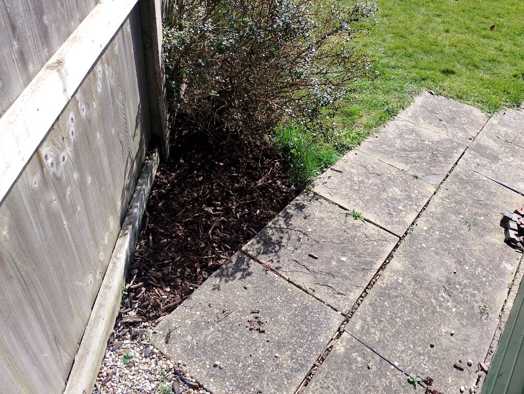 Garden, De-Weeded, Gardening, Colchester, Wivenhoe, Sunny