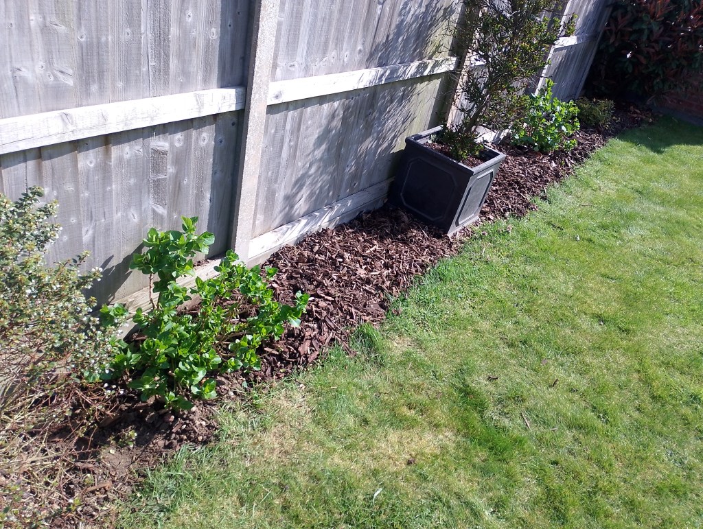 Garden Boarder, De-Weeded, Gardening, Colchester, Wivenhoe, Sunny